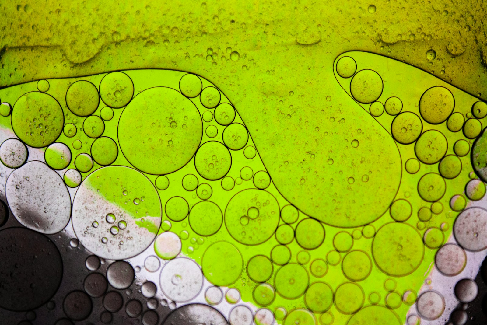 water droplets on green surface